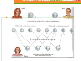 Hereditariedade 2007