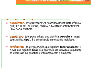 Hereditariedade 2007