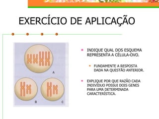 Hereditariedade 2007