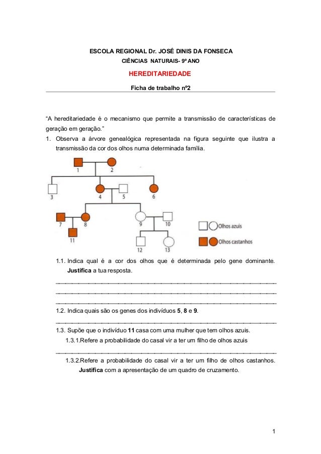 ESCOLA REGIONAL Dr. JOSÉ DINIS DA FONSECA                            CIÊNCIAS NATURAIS- 9º ANO                            ...