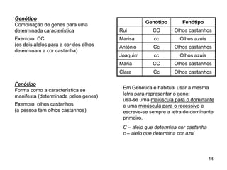 Genótipo Fenótipo
Rui CC Olhos castanhos
Marisa cc Olhos azuis
António Cc Olhos castanhos
Joaquim cc Olhos azuis
Maria CC Olhos castanhos
Clara Cc Olhos castanhos
Em Genética é habitual usar a mesma
letra para representar o gene:
usa-se uma maiúscula para o dominante
e uma minúscula para o recessivo e
escreve-se sempre a letra do dominante
primeiro.
Genótipo
Combinação de genes para uma
determinada característica
Exemplo: CC
(os dois alelos para a cor dos olhos
determinam a cor castanha)
Fenótipo
Forma como a característica se
manifesta (determinada pelos genes)
Exemplo: olhos castanhos
(a pessoa tem olhos castanhos)
14
C – alelo que determina cor castanha
c – alelo que determina cor azul
 