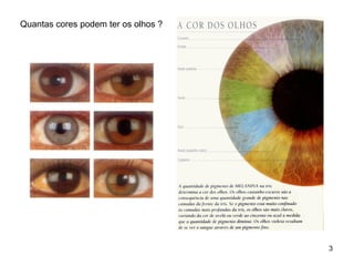 Quantas cores podem ter os olhos ?
3
 
