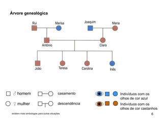 Marisa
António
Joaquim Maria
Clara
João Teresa Carolina Inês
Rui
♂ homem
♀ mulher
Indivíduos com os
olhos de cor azul
Indivíduos com os
olhos de cor castanhos
casamento
descendência
Árvore genealógica
6existem mais simbologias para outras situações
 