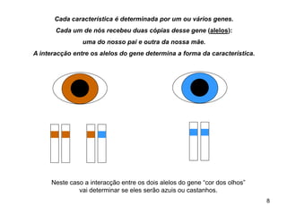 Cada característica é determinada por um ou vários genes.
Cada um de nós recebeu duas cópias desse gene (alelos):
uma do nosso pai e outra da nossa mãe.
A interacção entre os alelos do gene determina a forma da característica.
Neste caso a interacção entre os dois alelos do gene “cor dos olhos”
vai determinar se eles serão azuis ou castanhos.
8
 