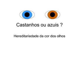 Castanhos ou azuis ?
Hereditariedade da cor dos olhos
 