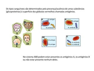 Os tipos sanguíneos são determinados pela presença/ausência de umas substâncias (glicoproteínas) à superfície dos glóbulos vermelhos chamadas antigénios. No sistema AB0 podem estar presentes os antigénios A, os antigénios B ou não estar presente nenhum deles. 