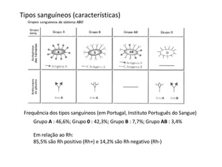 Tipos sanguíneos (características) Frequência dos tipos sanguíneos (em Portugal, Instituto Português do Sangue) Grupo  A  : 46,6%; Grupo  0  : 42,3%; Grupo  B  : 7,7%; Grupo  AB  : 3,4% Em relação ao Rh: 85,5% são Rh positivo (Rh+) e 14,2% são Rh negativo (Rh-) 