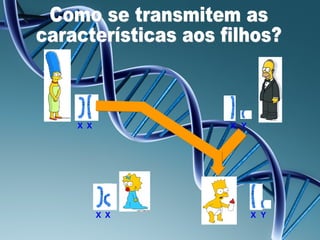 X X         X Y




      X X         X Y
 