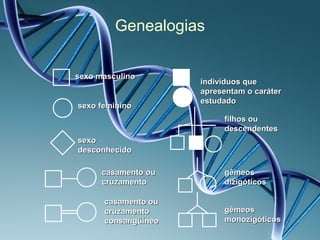 Genealogias


sexo masculino
                     indivíduos que
                     apresentam o caráter
                     estudado
sexo feminino
                          filhos ou
                          descendentes
sexo
desconhecido

      casamento ou        gêmeos
      cruzamento          dizigóticos

      casamento ou
      cruzamento          gêmeos
      consangüíneo        monozigóticos
 