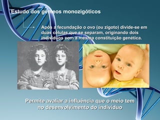Estudo dos gémeos monozigóticos

          Após a fecundação o ovo (ou zigoto) divide-se em
          duas células que se separam, originando dois
          indivíduos com a mesma constituição genética.




    Permite avaliar a influência que o meio tem
        no desenvolvimento do indivíduo
 