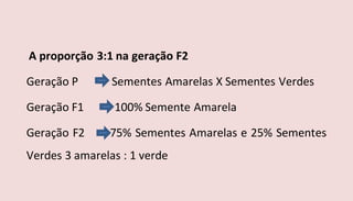 A proporção 3:1 na geração F2
Geração P Sementes Amarelas X Sementes Verdes
Geração F1 100% Semente Amarela
Geração F2 75% Sementes Amarelas e 25% Sementes
Verdes 3 amarelas : 1 verde
 