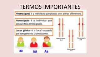 TERMOS IMPORTANTES
 