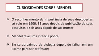 CURIOSIDADES SOBRE MENDEL
 O reconhecimento da importância de suas descobertas
só veio em 1900, 35 anos depois da publicação de suas
pesquisas e seis anos depois de sua morte;
 Mendel teve uma infância pobre;
 Ele se aproximou da biologia depois de falhar em um
exame para ser professor;
 