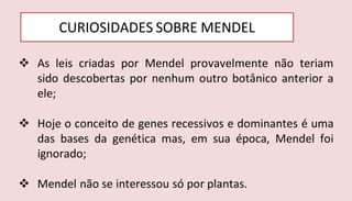 CURIOSIDADES SOBRE MENDEL
 As leis criadas por Mendel provavelmente não teriam
sido descobertas por nenhum outro botânico anterior a
ele;
 Hoje o conceito de genes recessivos e dominantes é uma
das bases da genética mas, em sua época, Mendel foi
ignorado;
 Mendel não se interessou só por plantas.
 
