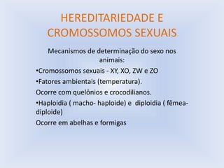 HEREDITARIEDADE E
CROMOSSOMOS SEXUAIS
Mecanismos de determinação do sexo nos
animais:
•Cromossomos sexuais - XY, XO, ZW e ZO
•Fatores ambientais (temperatura).
Ocorre com quelônios e crocodilianos.
•Haploidia ( macho- haploide) e diploidia ( fêmeadiploide)
Ocorre em abelhas e formigas

 