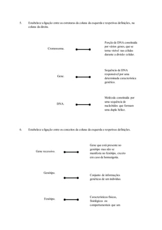 5. Estabelece a ligação entre as estruturas da coluna da esquerda e respetivas definições, na
coluna da direita.
Cromossoma.
Porção de DNA constituída
por vários genes, que se
torna visível nas células
durante a divisão celular.
Gene.
Sequência de DNA
responsável por uma
determinada característica
genética.
DNA.
Molécula constituída por
uma sequência de
nucleótidos que formam
uma dupla hélice.
6. Estabelece a ligação entre os conceitos da coluna da esquerda e respetivas definições.
Gene recessivo.
Gene que está presente no
genótipo mas não se
manifesta no fenótipo, exceto
em caso de homozigotia.
Genótipo.
Conjunto de informações
genéticas de um indivíduo.
Fenótipo.
Características físicas,
fisiológicas ou
comportamentais que um
 