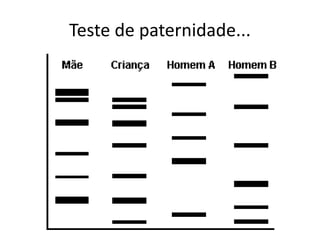 Teste de paternidade... 
 