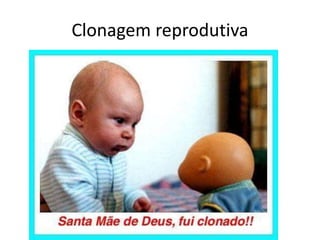 Clonagem reprodutiva 
 