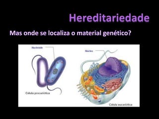 HereditariedadeMas onde se localiza o material genético?HomemNúcleoCélulaA informação genética encontra-se no DNA dentro do núcleo das células.DNACromossomas