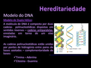 Estrutura do cromossomaHereditariedade