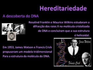HereditariedadeModelo do DNAModelo de Dupla Hélice:A molécula de DNA é composta por duas cadeias  polinucleotídicas dispostas em sentidos inversos – cadeias antiparalelas, enroladas em torno de um eixo imaginário.As cadeias polinucleotídicas estão unidas por pontes de hidrogénio entre pares de bases azotadas – complementaridade de bases:Timina – Adenina