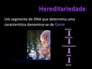 Citosina - GuaninaIn: http://4.bp.blogspot.com/_R-rTvAicCNQ/SeLIakiR-DI/AAAAAAAABso/3ATUbN92iGs/s400/como_funciona_o_dna_06.jpg