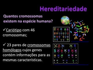 Hereditariedade	Um segmento de DNA que determina uma característica denomina-se de GeneCélulaNúcleoCromossomaDNAIn: http://2.bp.blogspot.com/_eLogX_apii4/RdiKFWBCCxI/AAAAAAAAAAg/q8mXBgdkNjc/s320/chromosome%5B1%5D.jpgGene
