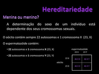 23 pares de cromossomas homólogos cujos genes contém informações para as mesmas características. In: http://www.brasilescola.com/upload/e/cariotipo.jpgIn:  http://4.bp.blogspot.com/_Wq0dPfU4wkM/SRy795d6I1I/AAAAAAAAAG4/DqVhgsGh8Xg/s400/Sem+uu.bmp