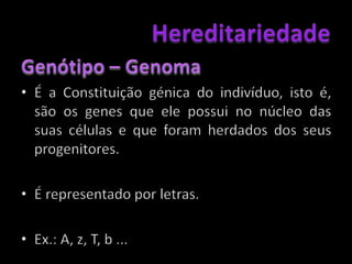 Hereditariedade	Cariótipo: Conjunto de cromossomas de uma espécie. Representa o número total de cromossomas de uma célula somática.	Genesque codificam para a mesma característica denominam-se alelos.Quando um indivíduo apresenta, para uma determinada característica, um par de alelos iguais, denomina-se homozigótico.Quando um indivíduo apresenta, para uma determinada característica, um par de alelos diferentes, denomina-se heterozigótico.