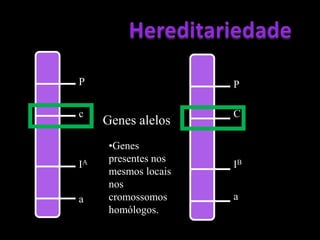 HereditariedadeGenótipo – GenomaÉ a Constituição génica do indivíduo, isto é, são os genes que ele possui no núcleo das suas células e que foram herdados dos seus progenitores.É representado por letras.Ex.: A, z, T, b ...