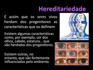 HereditariedadeÉ assim que os seres vivos herdam dos progenitores as características que os definem.Existem algumas características como, por exemplo, cor dos olhos, cabelo, estatura… que são herdadas dos progenitores.Existem outras, no entanto, que são fortemente influenciadas pelo ambiente.In: http://1.bp.blogspot.com/_GGWclHoPt4w/Rzj83NYqb4I/AAAAAAAAAAs/u98E1rBJsB8/s320/DNAimagem.jpgIn: http://3.bp.blogspot.com/_VvIfDfPWhLw/TA6YnOgC9mI/AAAAAAAAAUA/EkBzQK3IqNQ/s1600/espectro+cor+olhos+2.jpg