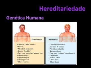 HereditariedadeIndivíduos HeterozigóticosOs indivíduos que apresentam dois alelos diferentes para um mesmo gene, são chamados heterozigóticos.Ex.: Aa, Bb, IA IB, Zz....
