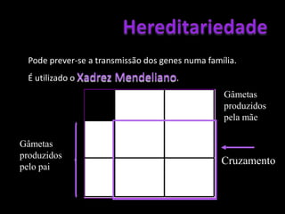 HereditariedadeRecessividadeOs Alelos que não se expressam na condição heterozigótica são denominados recessivos.Ex.: o alelo r, uma vez que um indivíduo rr é Rh-.