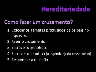 Hereditariedade	Pode prever-se a transmissão dos genes numa família.	É utilizado o Xadrez Mendeliano.Gâmetas produzidos pela mãeGâmetas produzidos pelo paiCruzamento