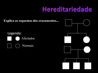 HereditariedadeO que é uma árvore genealógica?Permite concluir se a característica é recessiva ou dominante.