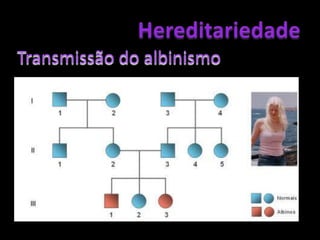 HereditariedadeUm homem normal, cujo pai era afectado e a mãe era normal, casa-se com uma mulher normal, cujos pais também eram normais. Esse casal tem seis filhos: três filhas afectadas e dois filhos afectados, mais uma filha normal.Onde está o homem normal?