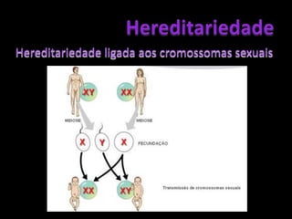 HereditariedadeExplica os esquemas dos cruzamentos...Legenda:AfectadosNormais