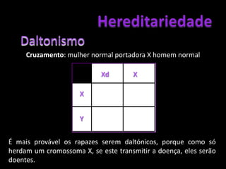 HereditariedadeHereditariedade ligada aos cromossomas sexuais