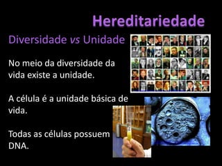 Hereditariedade	Genética	Ciência que estuda a transmissão dos caracteres hereditários nos seres vivos.In: http://4.bp.blogspot.com/_xynrtZ7wyG0/THqyyZdGIQI/AAAAAAAAACU/ihZiq6i1pac/s1600/genetica%5B1%5D.jpg