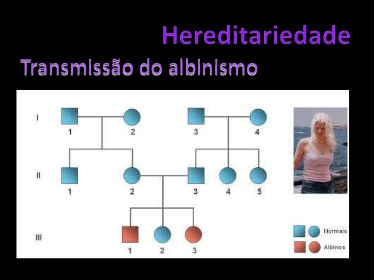 O Nome Da Unidade Basica Da Hereditariedade