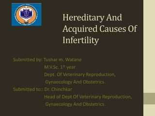 Hereditary And
                      Acquired Causes Of
                      Infertility
Submitted by: Tushar m. Watane
               M.V.Sc. 1st year
               Dept. Of Veterinary Reproduction,
               Gynaecology And Obstetrics.
Submitted to:: Dr. Chinchkar
               Head of Dept Of Veterinary Reproduction,
               Gynaecology And Obstetrics.
 