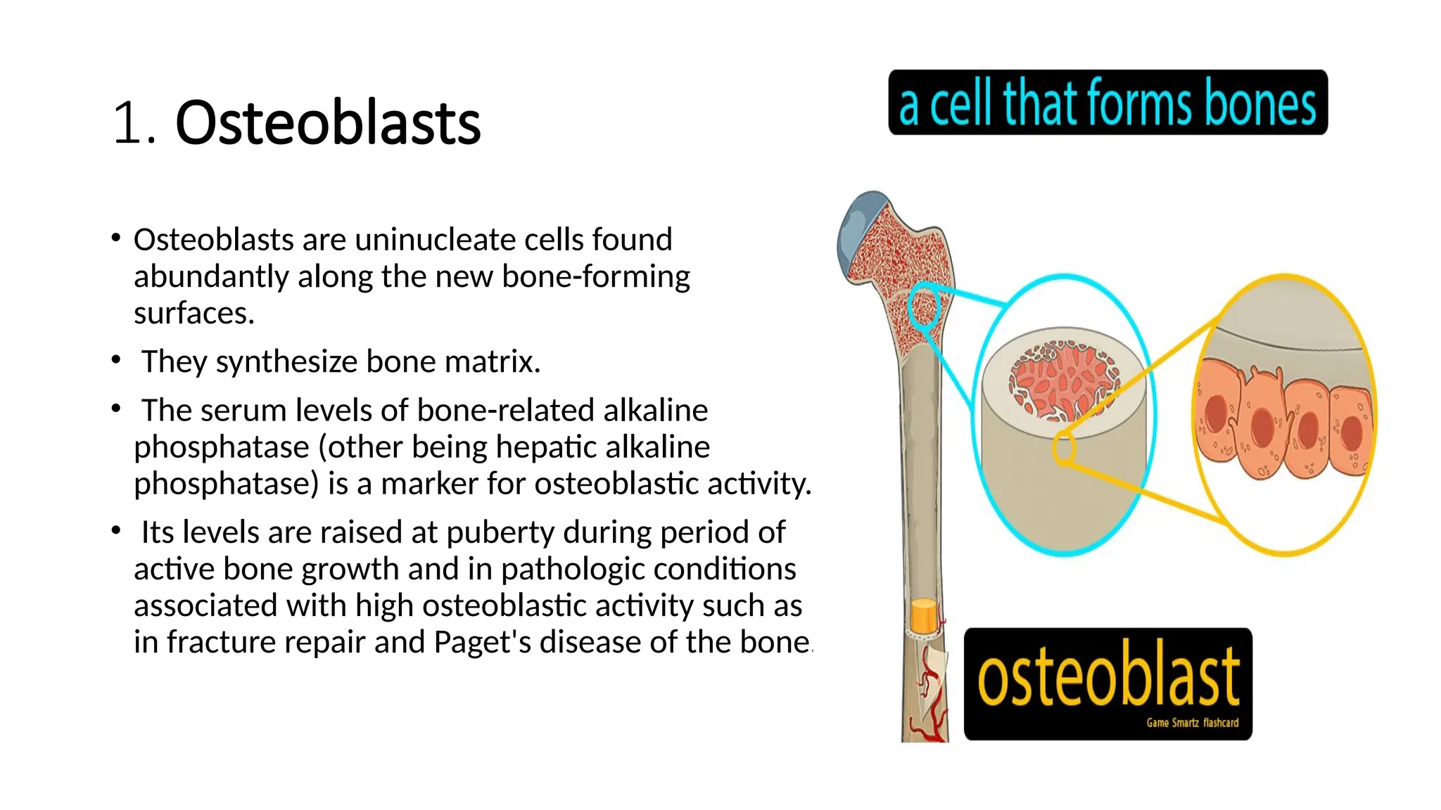 HEREDITARY AND METABOLIC DISEASE OF BONE OSTEOMYELITIS | PPTX