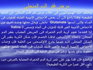6363
‫المنجلي‬ ‫الدم‬ ‫فقر‬ ‫مرض‬
‫وتختلف‬‫ضخلية‬‫الهيموجلوبين‬‫في‬‫مرض‬ ‫تحال ت‬‫الد م‬ ‫فتر‬‫المنجلي‬‫عن‬‫الخلية‬
‫الطبيعية‬‫في‬ ‫للذوبان‬ ‫القابلة‬ ‫المينية‬ ‫التحماض‬ ‫بعض‬ ‫أن‬ ‫إلى‬ ‫راجع‬ ‫وهذا‬
‫اسمها‬ ‫والتي‬ ‫المصاء‬Glutamate‫تختفي‬‫محلها‬ ‫ويحل‬‫أضخرى‬ ‫وتحدة‬‫من‬
‫التحماض‬‫الغير‬ ‫المينية‬‫وتسمى‬ ‫الماء‬ ‫في‬ ‫للذوبان‬ ‫قابلة‬Valine 0
‫الد م‬ ‫بفقر‬ ‫المصصا ب‬ ‫المريصض‬ ‫فصي‬ ‫الحمراء‬ ‫الد م‬ ‫كريصة‬ ‫تقو م‬ ‫فعندمصا‬ ‫لذا‬
‫بإعطاء‬ ‫المنجلي‬‫الجسم‬ ‫لخليا‬ ‫الوكسجين‬‫فإن‬‫شكل‬‫الكرية‬‫يتغير‬‫إلى‬
‫الشكصل‬‫المنجلصي‬‫لنصه‬‫الوكسصجين‬ ‫يخرج‬ ‫عندمصا‬‫وتحدا ت‬ ‫فإن‬ ‫الخليصة‬ ‫مصن‬
‫الزيتيصة‬ ‫المينيصة‬ ‫التحماض‬‫والغيصر‬‫الماء‬ ‫فصي‬ ‫للذوبان‬ ‫قابلصة‬‫وتكون‬ ‫تلتصق‬
‫الخلية‬ ‫شكل‬ ‫من‬ ‫وتغير‬ ‫نفسها‬ ‫تدفع‬ ‫ضخطوط‬‫إلى‬. ‫المنجلى‬ ‫الشكل‬
 
‫هذا‬ ‫فإن‬ ‫وبالطبع‬‫يؤثر‬‫تحيث‬ ‫بالمرض‬ ‫المصابة‬ ‫الحمراء‬ ‫الد م‬ ‫كرية‬ ‫عمر‬ ‫على‬
‫الطبيعية‬ ‫الكرية‬ ‫من‬ ‫عمرا‬ ‫أقل‬ ‫تكون‬0
 