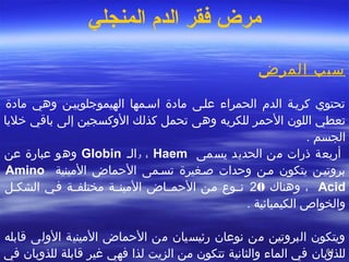 6464
‫المنجلي‬ ‫الدم‬ ‫فقر‬ ‫مرض‬
‫المرض‬ ‫سبب‬
 
‫مادة‬ ‫وهي‬ ‫الهيموجلوبيصن‬ ‫اسصمها‬ ‫مادة‬ ‫علصى‬ ‫الحمراء‬ ‫الد م‬ ‫كريصة‬ ‫تحتوي‬
‫التحمر‬ ‫اللون‬ ‫تعطي‬‫للكريه‬‫وهى‬‫تحمل‬‫ضخليا‬ ‫باقي‬ ‫إلى‬ ‫الوكسجين‬ ‫كذلك‬
. ‫الجسم‬
‫يسمى‬ ‫الحديد‬ ‫من‬ ‫ذرا ت‬ ‫أربعة‬Haem،‫و‬‫الص‬Globin‫عن‬ ‫عبارة‬ ‫وهو‬
‫المينية‬ ‫التحماض‬ ‫تسصمى‬ ‫اصصغيرة‬ ‫وتحدا ت‬ ‫مصن‬ ‫يتكون‬ ‫بروتيصن‬Amino
Acid‫وهنا ك‬ ،20‫التحمصصاض‬ ‫مصن‬ ‫نصصوع‬‫مختلفصصة‬ ‫المينصصة‬‫فصي‬‫الشكصل‬
. ‫الكيميائية‬ ‫والخواص‬
 
‫قابله‬ ‫الولى‬ ‫المينية‬ ‫التحماض‬ ‫من‬ ‫رئيسيان‬ ‫نوعان‬ ‫من‬ ‫البروتين‬ ‫ويتكون‬
‫للذوبان‬‫في‬ ‫للذوبان‬ ‫قابلة‬ ‫غير‬ ‫فهي‬ ‫لذا‬ ‫الزيت‬ ‫من‬ ‫تتكون‬ ‫والثانية‬ ‫الماء‬ ‫في‬
 