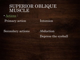 SUPERIOR OBLIQUE
MUSCLE
• Actions :
Primary action Intorsion
Secondary actions Abduction
Depress the eyeball
 