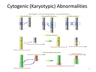 Cytogenic (Karyotypic) Abnormalities
14
 