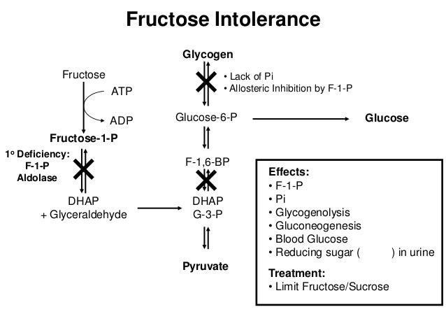 hereditary fructose intolerance