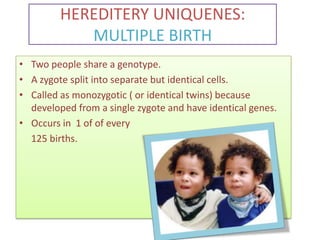 HEREDITERY UNIQUENES:
MULTIPLE BIRTH
• Two people share a genotype.
• A zygote split into separate but identical cells.
• Called as monozygotic ( or identical twins) because
developed from a single zygote and have identical genes.
• Occurs in 1 of of every
125 births.

 