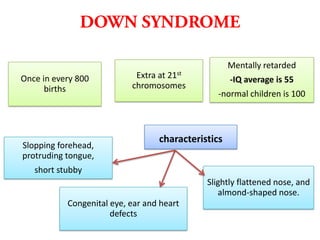 Mentally retarded
Once in every 800
births

Slopping forehead,
protruding tongue,

Extra at 21st
chromosomes

-IQ average is 55
-normal children is 100

characteristics

short stubby
Slightly flattened nose, and
almond-shaped nose.
Congenital eye, ear and heart
defects

 