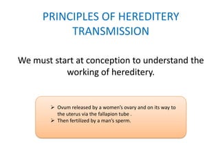 PRINCIPLES OF HEREDITERY
TRANSMISSION
We must start at conception to understand the
working of hereditery.

 Ovum released by a women’s ovary and on its way to
the uterus via the fallapion tube .
 Then fertilized by a man’s sperm.

 